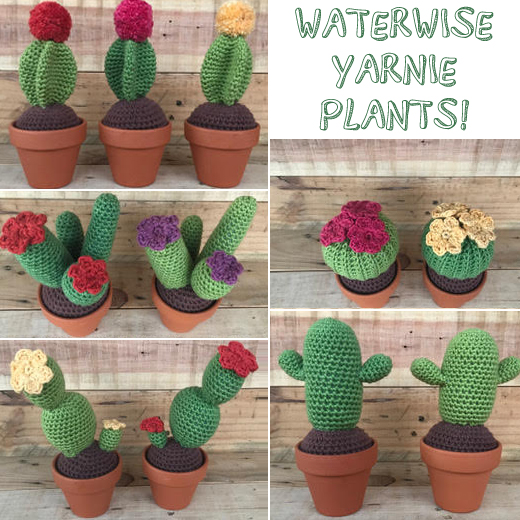 Crochet Cactus Plants (pin cushion or decor) – Natural Yarns