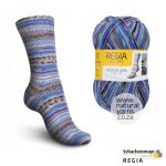 Regia 4ply Design Line 3881 Rusfjord by Arne and Carlos