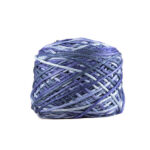 Purple Fantasy 6010 Variegated
